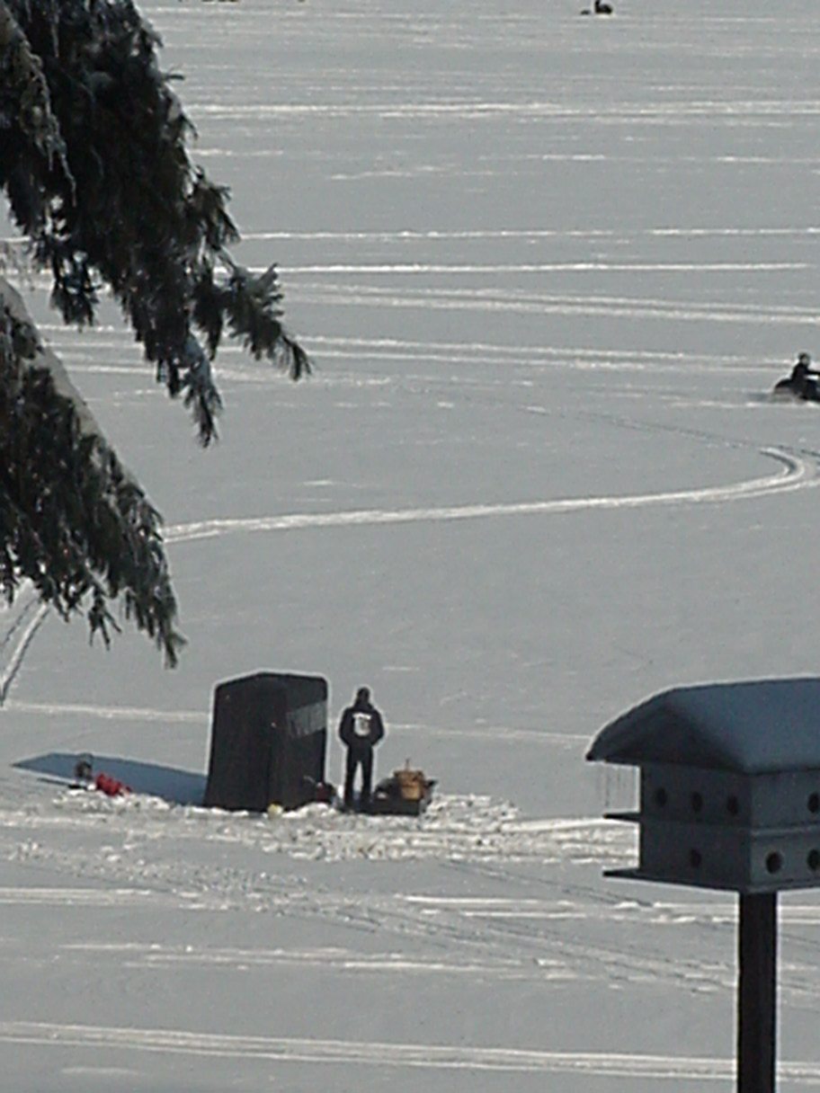 Man in the Snow